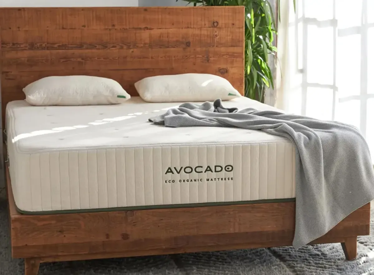 Avocado Eco Organic Mattress Standard Firm by Avocado Mattress