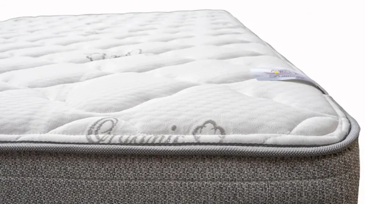 Magic Sleeper Plush Hospitality Quantum Mattress