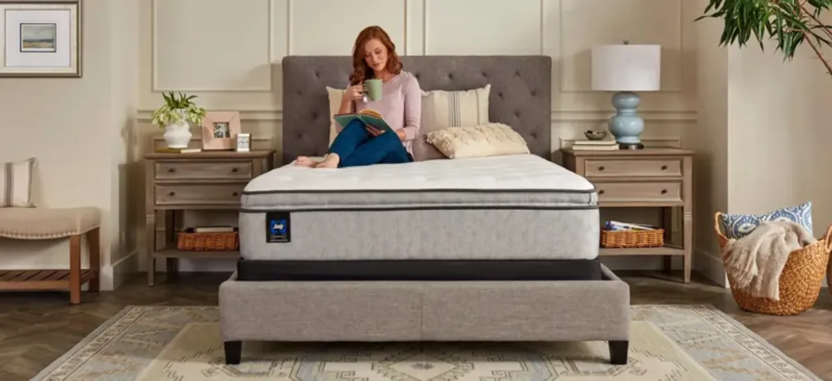 Sealy Essentials Bristol Harbor Plush Mattress