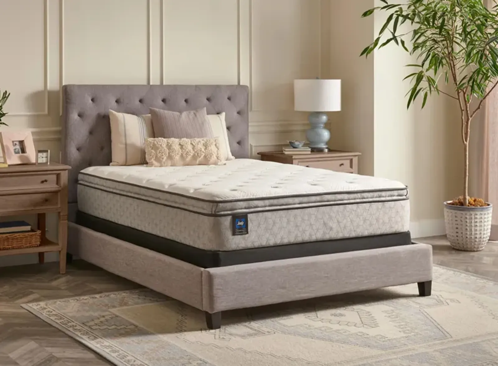 Sealy Essentials Bristol Harbor Plush Mattress