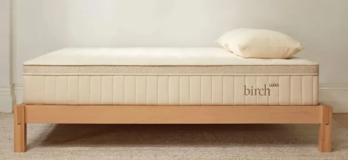 Birch Luxe Natural Mattress