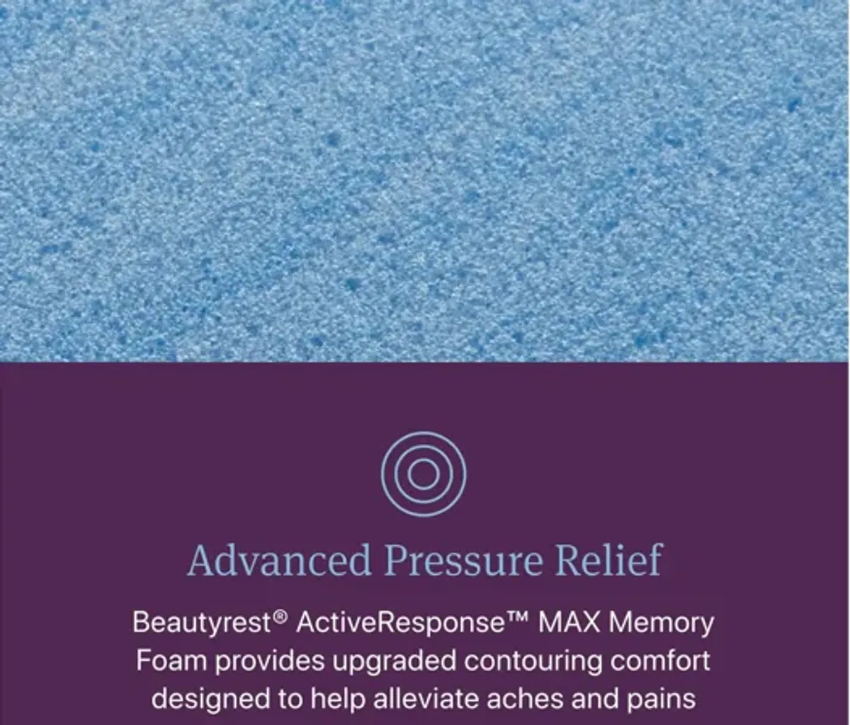 Beautyrest World Class Level Four Plush Mattress