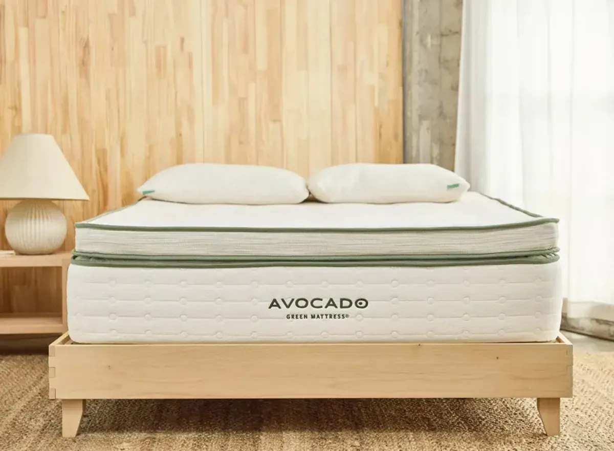 Avocado Green Mattress BoxTop Plush by Avocado Mattress