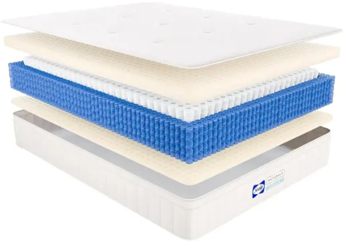 Sealy Naturals Firm Hybrid Mattress - Split King Set