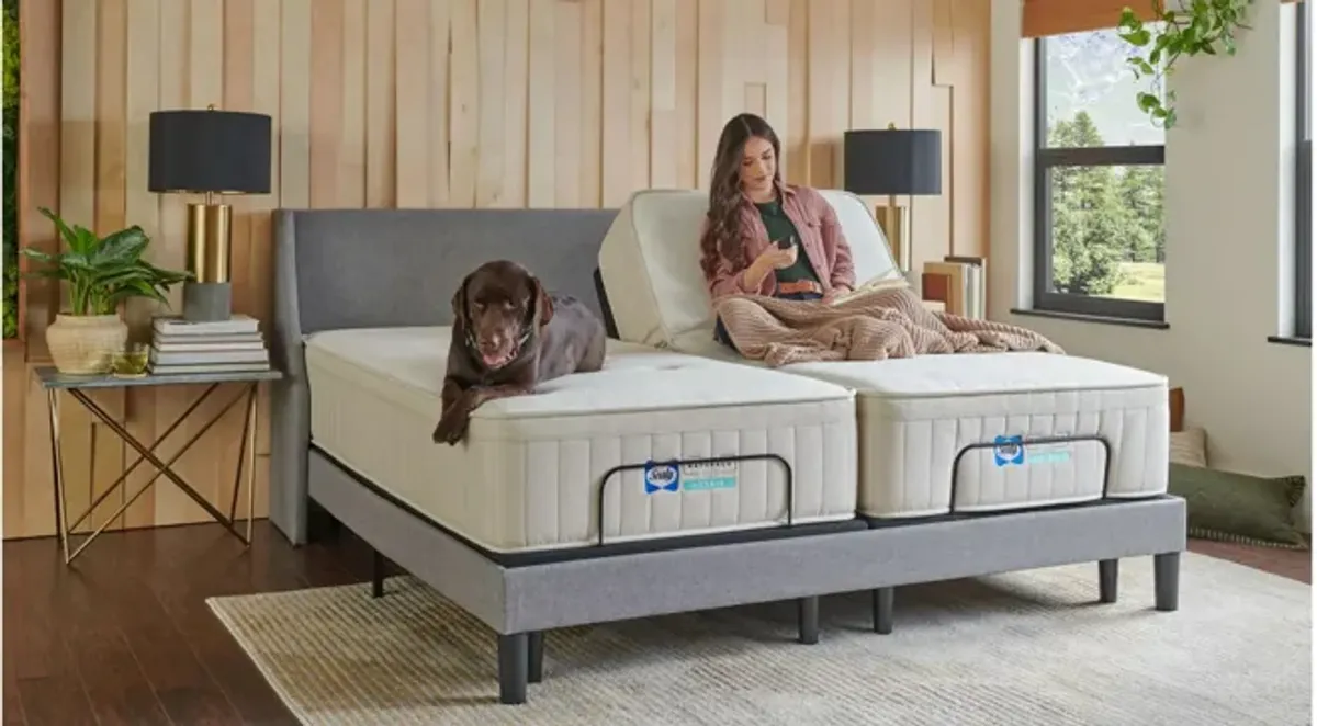 Sealy Naturals Firm Hybrid Mattress - Split King Set