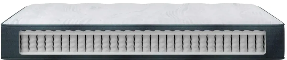 Beautyrest Harmony Seapearl Dreams Medium Mattress