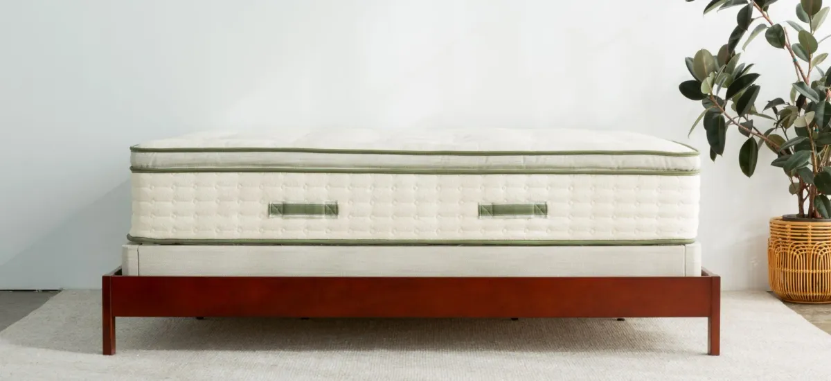 Avocado Green Mattress Pillow Top Medium by Avocado Mattress