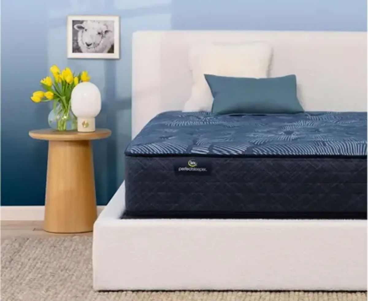 Serta Perfect Sleeper Cobalt Calm Plush Mattress