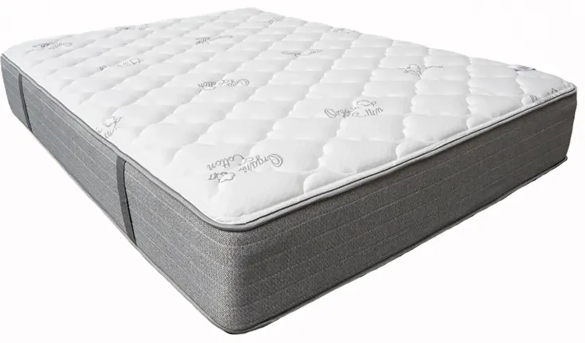 Magic Sleeper Plush Hospitality Quantum Mattress