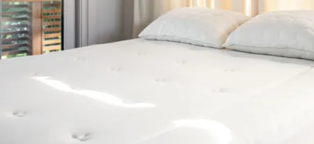 Elevated Performance by Sheex Mattress Pad in Bright White by Sheex Inc