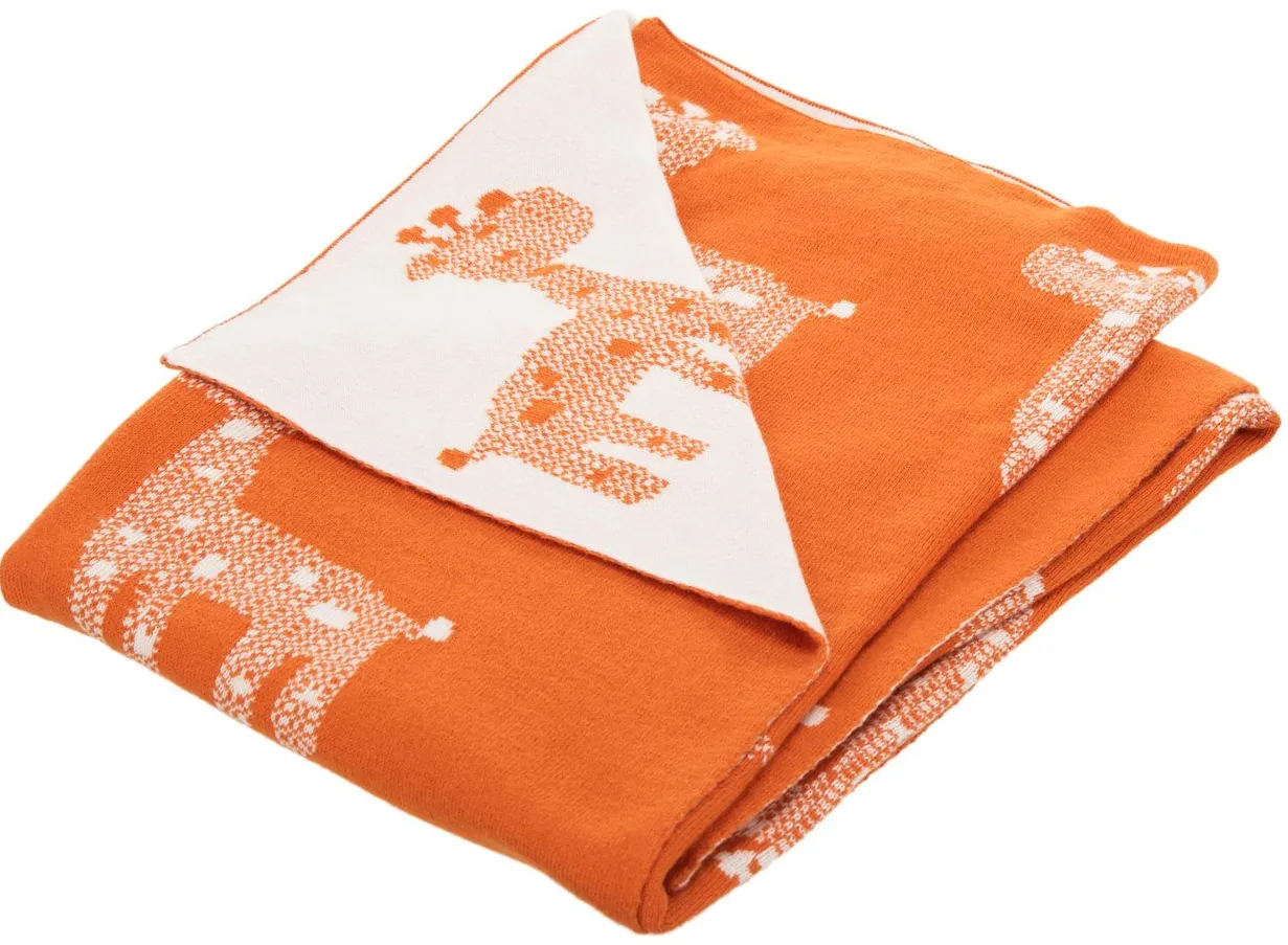 Titan Baby Blanket in Orange by Safavieh