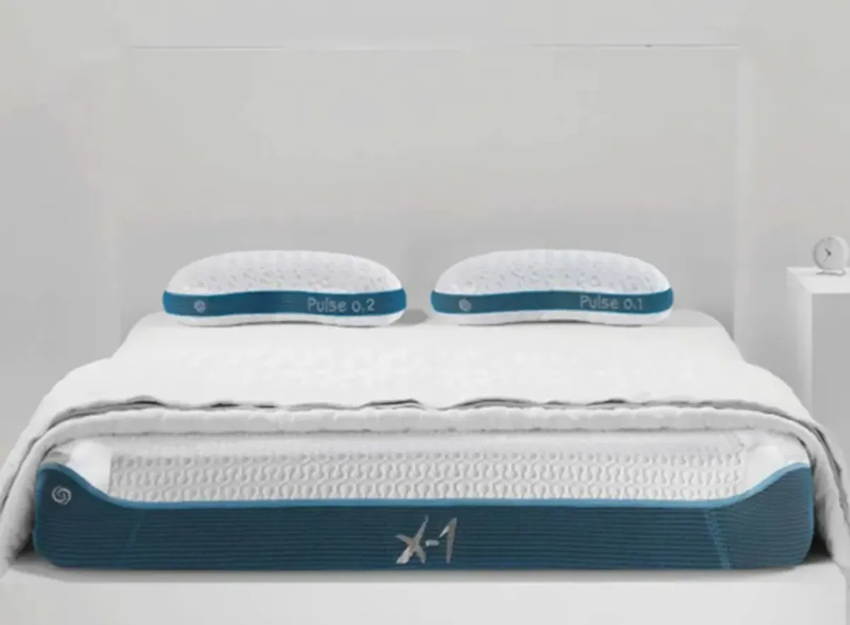 BEDGEAR X-1 Firm Memory Foam Mattress by Bedgear