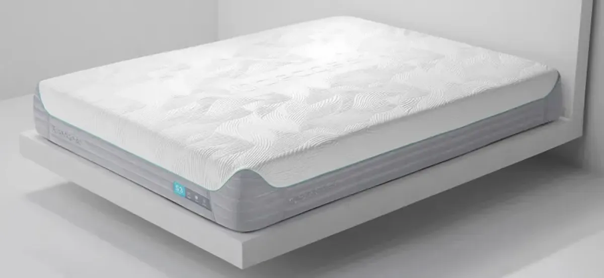 BEDGEAR S3 Firm Memory Foam Mattress