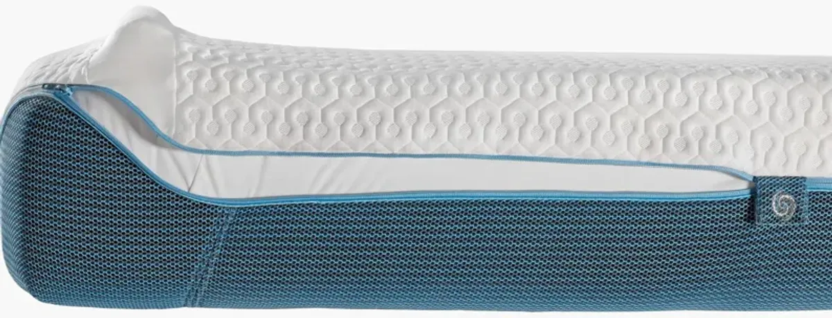 BEDGEAR X-1 Firm Memory Foam Mattress