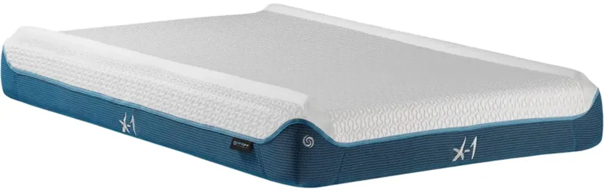 BEDGEAR X-1 Firm Memory Foam Mattress