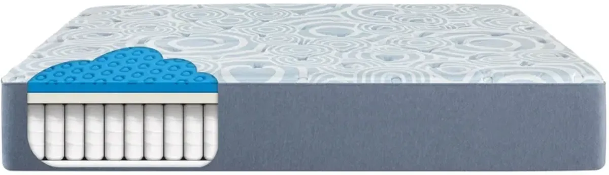 Serta Perfect Sleeper Renewed Relief Hybrid Plush Mattress in a Box