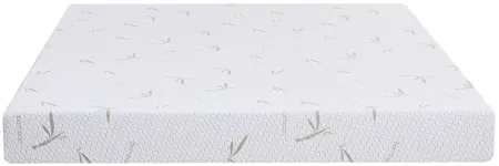 Dreamer 6 Inch Memory Foam Mattress in White by Mlily USA,