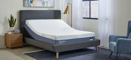 Chiro Pro Firm 13 Inch Hybrid Mattress in Blue by Mlily USA,