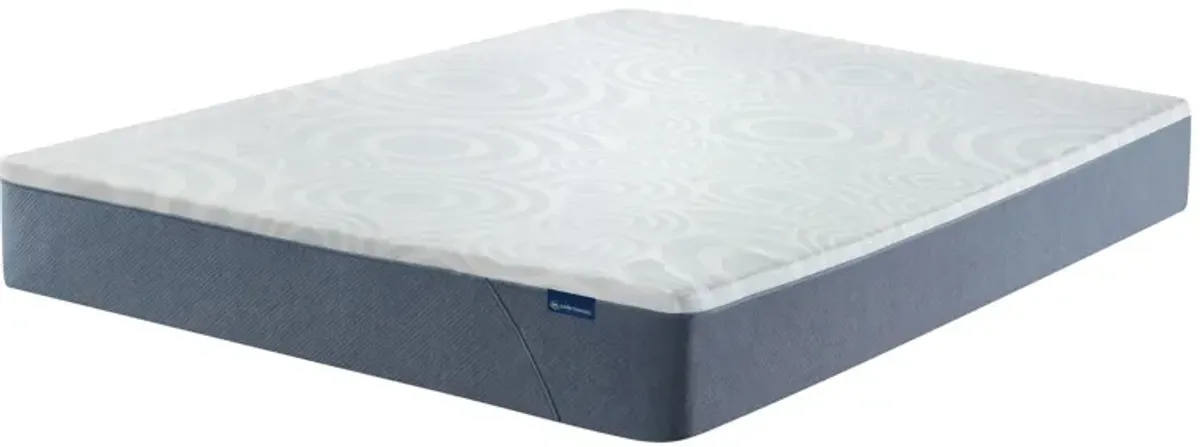 Serta Perfect Sleeper Nestled Night Gel Memory Foam Medium-Firm EZ Tote Mattress