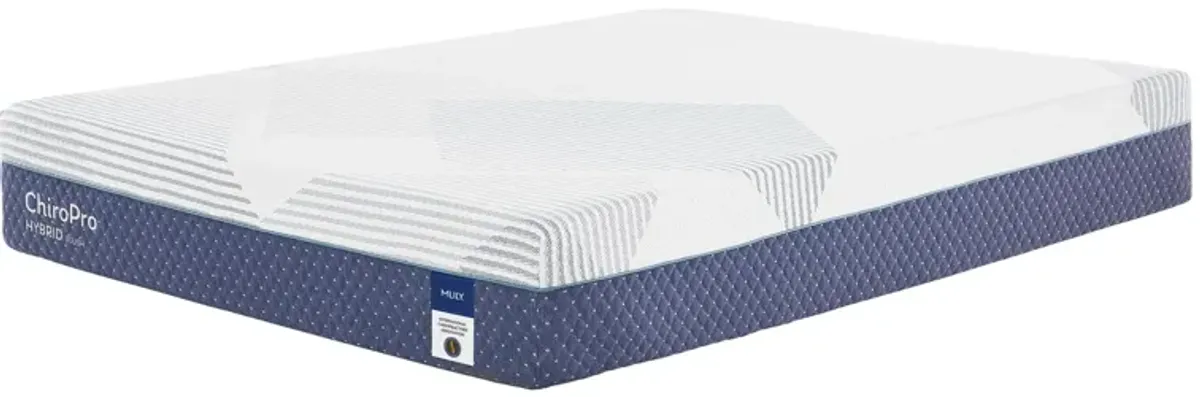 Chiro Pro Plush 13 Inch Hybrid Mattress