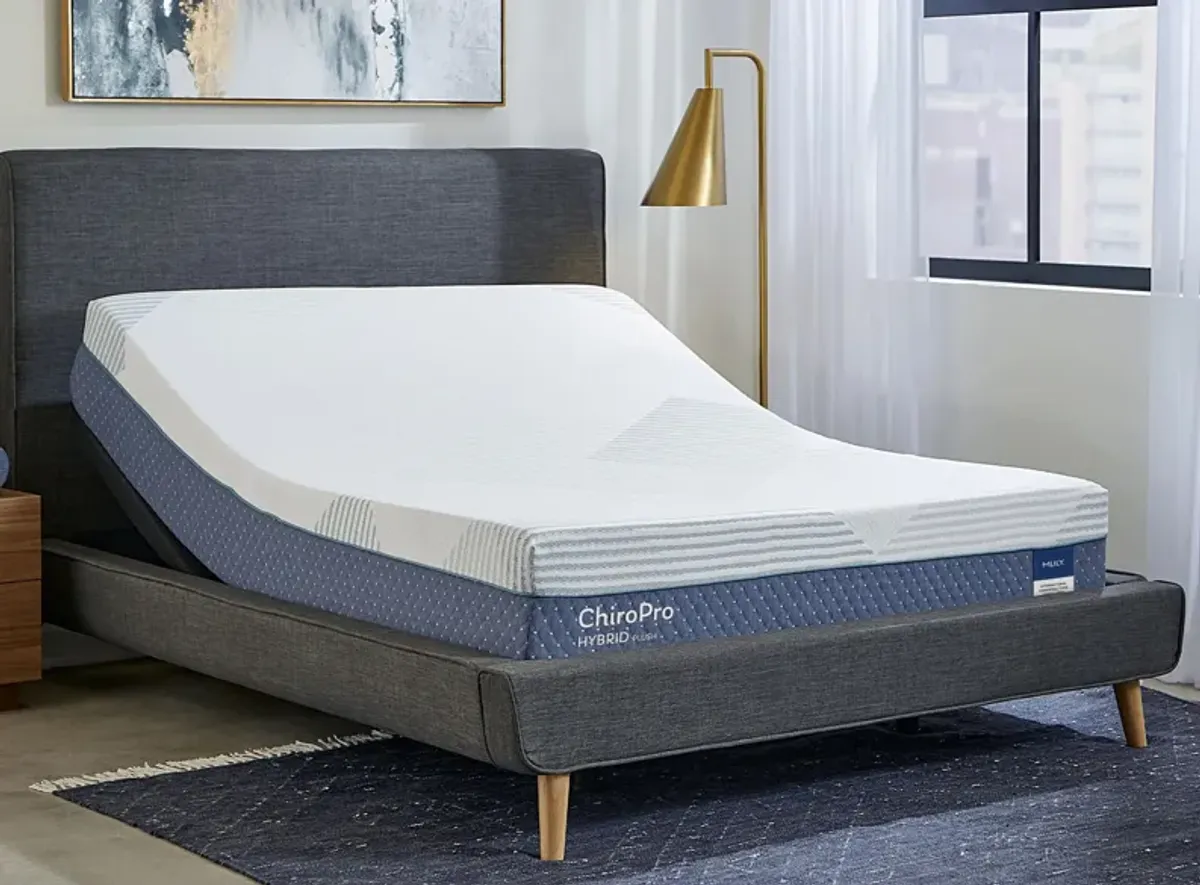 Chiro Pro Plush 13 Inch Hybrid Mattress