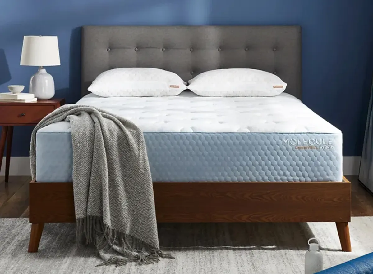 MOLECULE CopperWELL Hybrid Mattress by Molecule