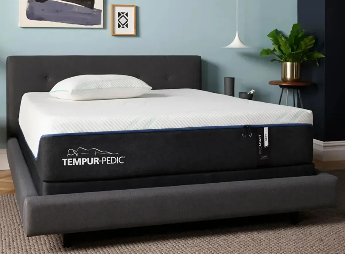 Tempur-Pedic TEMPUR-ProAdapt Soft Memory Foam Mattress