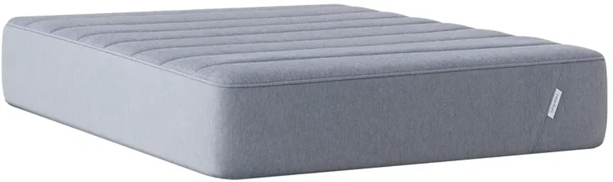 Tuft & Needle Plush Hybrid Mattress