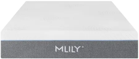 Fusion Luxe 12.5 Inch Hybrid Mattress in White by Mlily USA,
