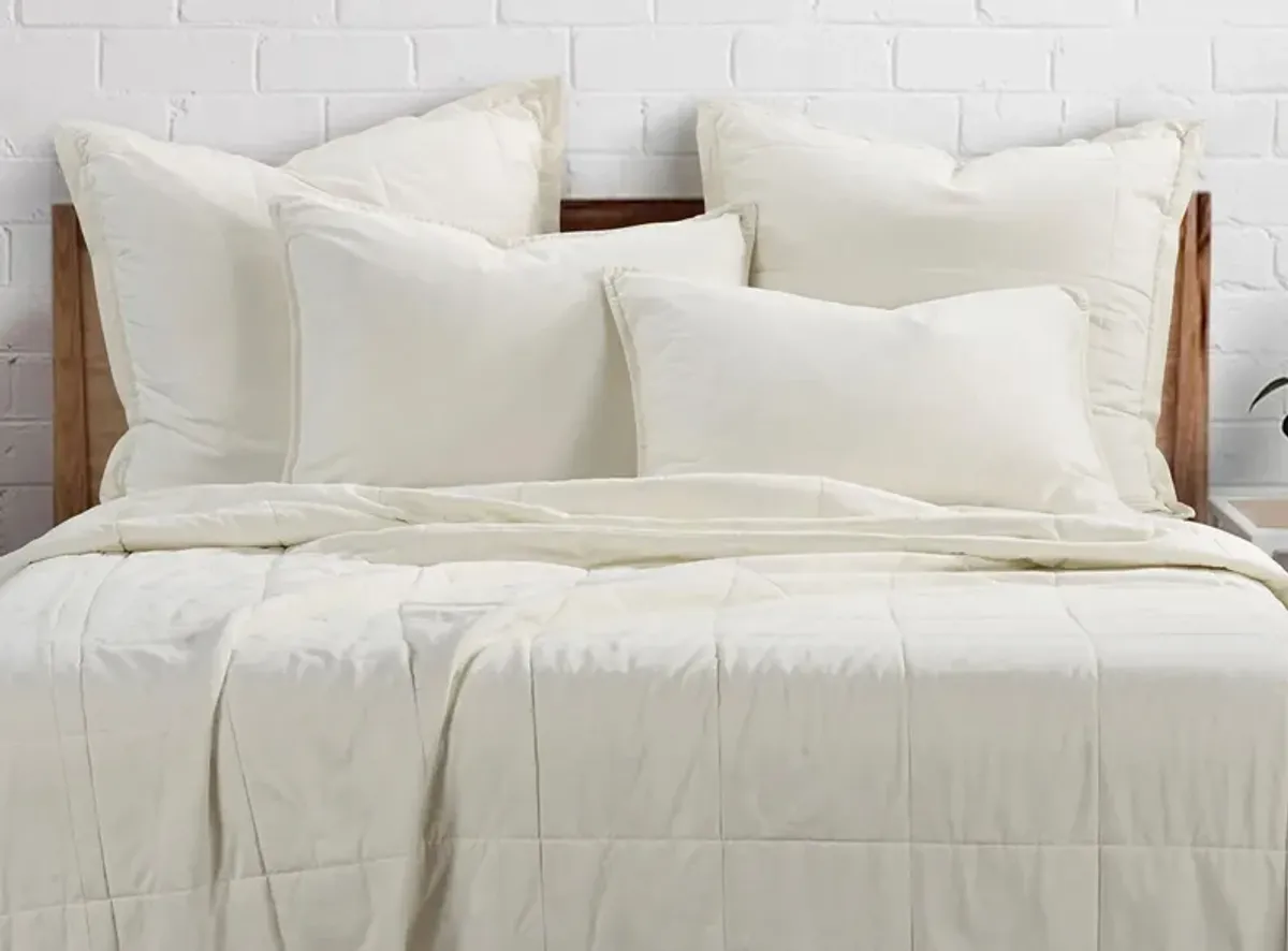 Detwyler 3-pc. Coverlet Set