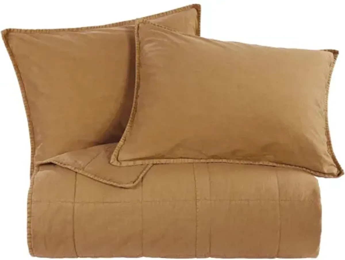 Detwyler 3-pc. Coverlet Set