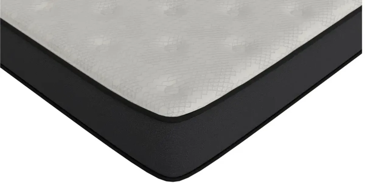 SleepInc. 10-inch Medium Hybrid Mattress in a Box