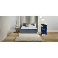 Serta Perfect Sleeper Renewed Relief™ Hybrid Plush Mattress in a Box