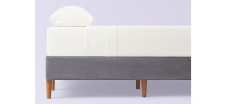 The Purple Foundation in Stone Grey + Natural Finish Wood Legs by Purple Innovation