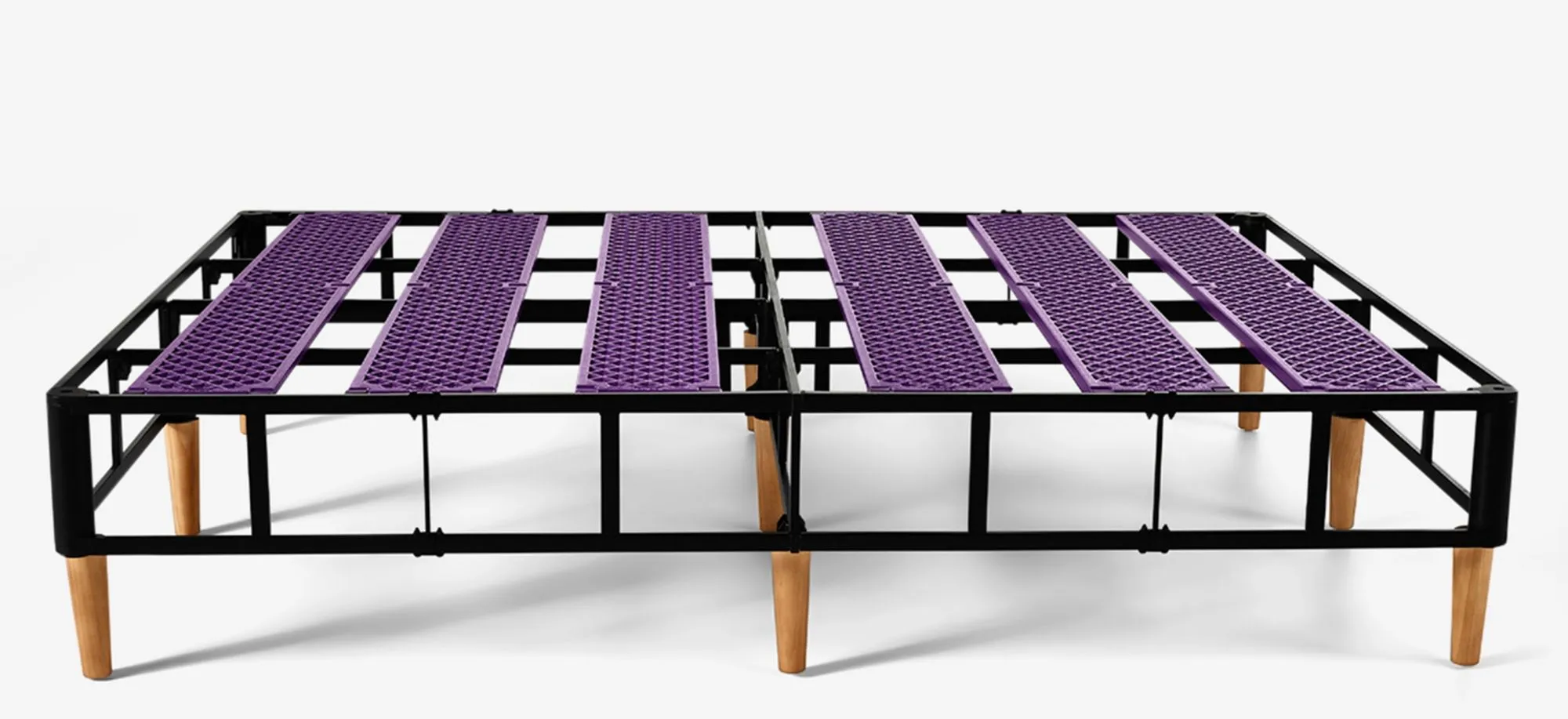 The Purple Foundation