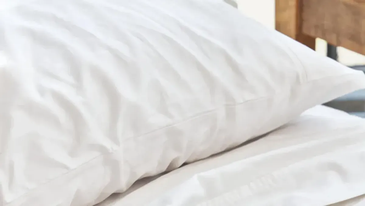 Avocado Organic Indian Cotton Pillow Case Set