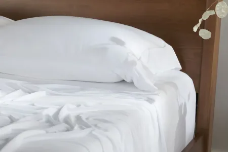 BEDGEAR Dri-Tec Pillowcases in White by Bedgear