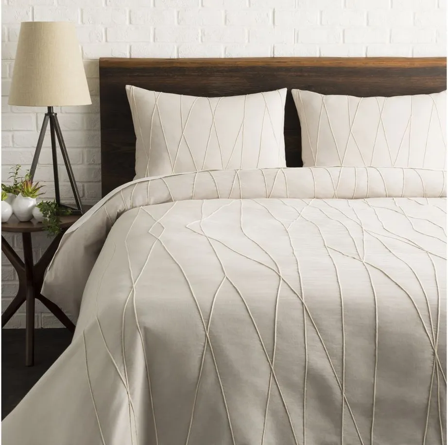 Mio Full/Queen Duvet Set in Light Gray/Cream by Surya