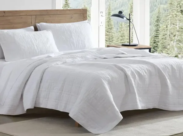 Jasper Trail Solid 3-pc. Quilt Set
