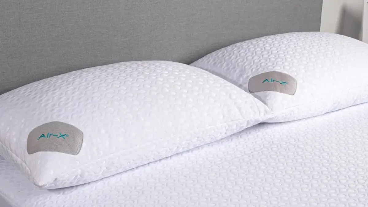 BEDGEAR Dri-Tec Pillow Protector