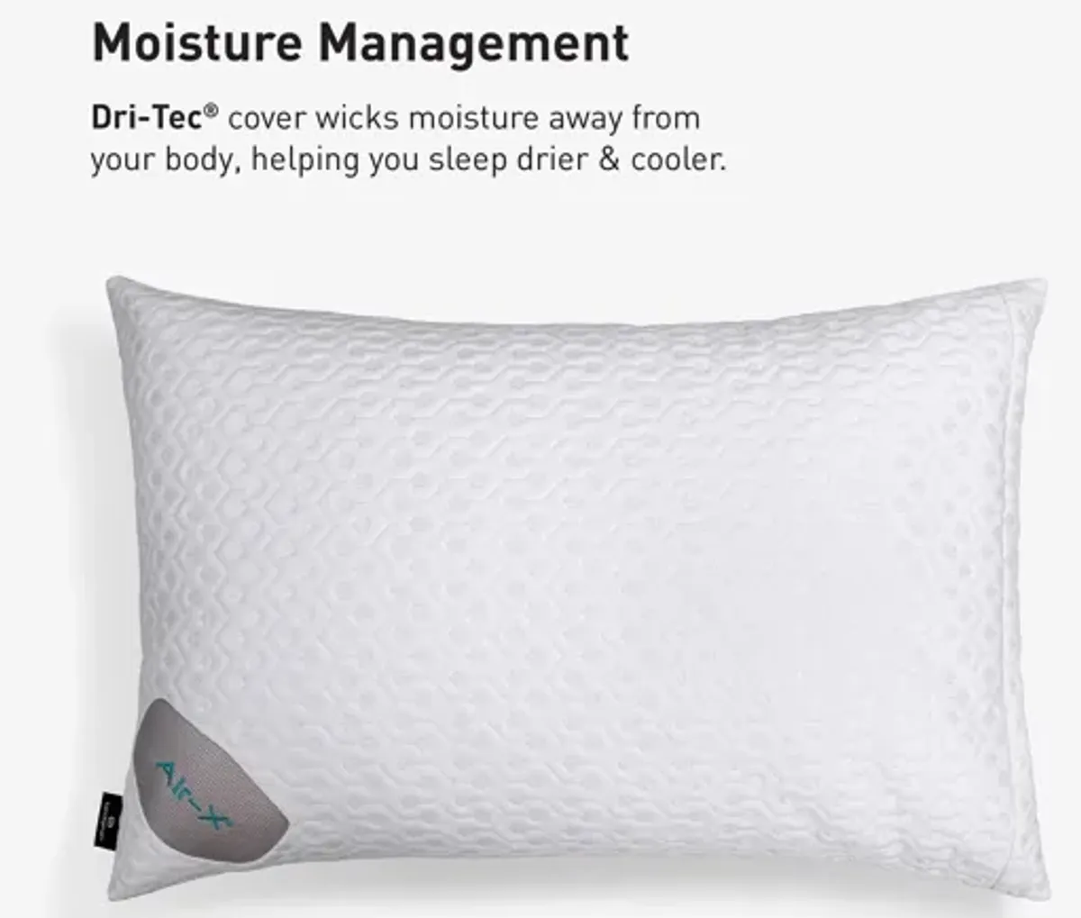 BEDGEAR Dri-Tec Pillow Protector