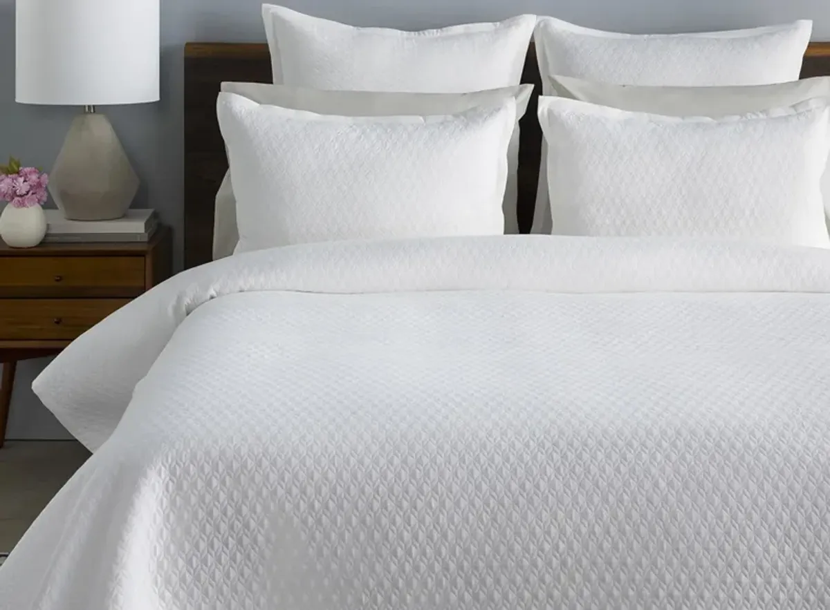 Briley King/Cal King Comforter Set in White by Surya