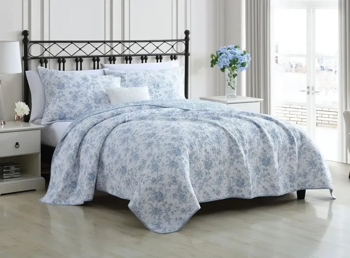 Walled Garden-2 Piece Quilt Set in SKYDUST BLUE/WHITE GROUND by Revman International