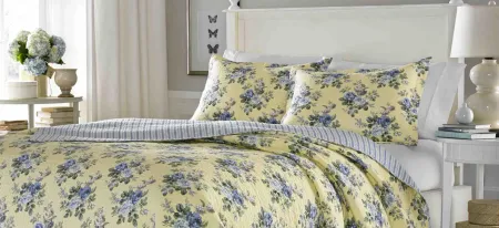 Linley-2 Piece Quilt Set in PALE YELLOW by Revman International
