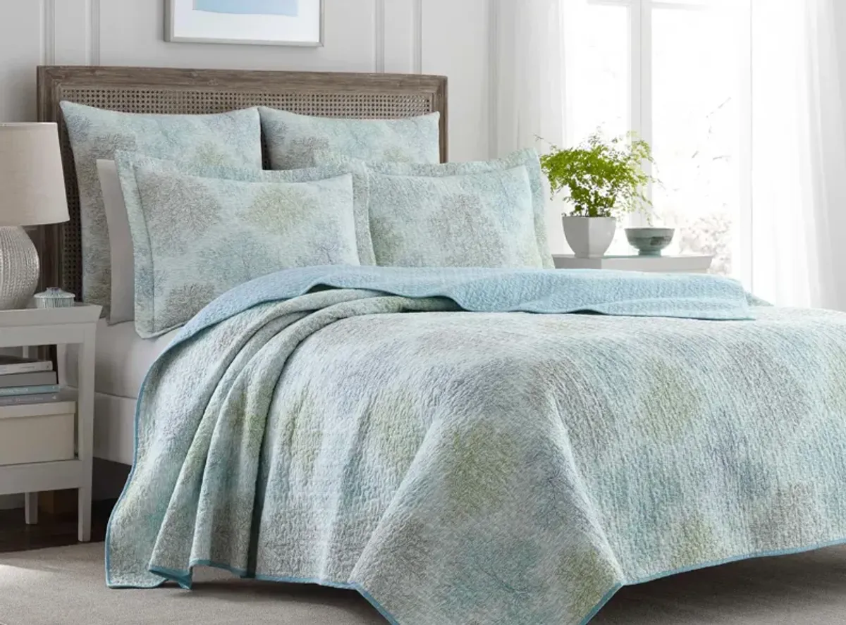 Saltwater-2 Piece Quilt Set in MULTI BLUE by Revman International