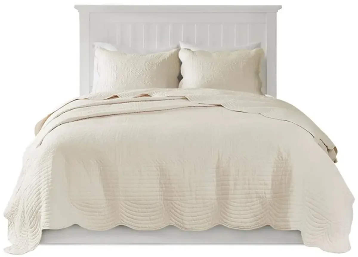 Tuscany 3-pc. Coverlet Set