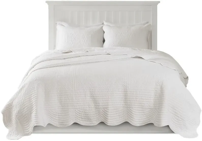 Tuscany 3-pc. Coverlet Set in White by E&E Co Ltd
