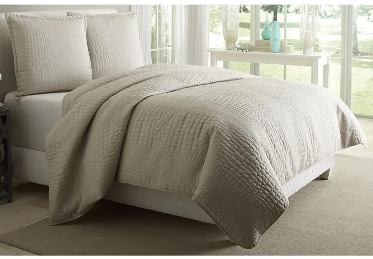 Dash 3-pc. Duvet Set in Natural by Amini Innovation