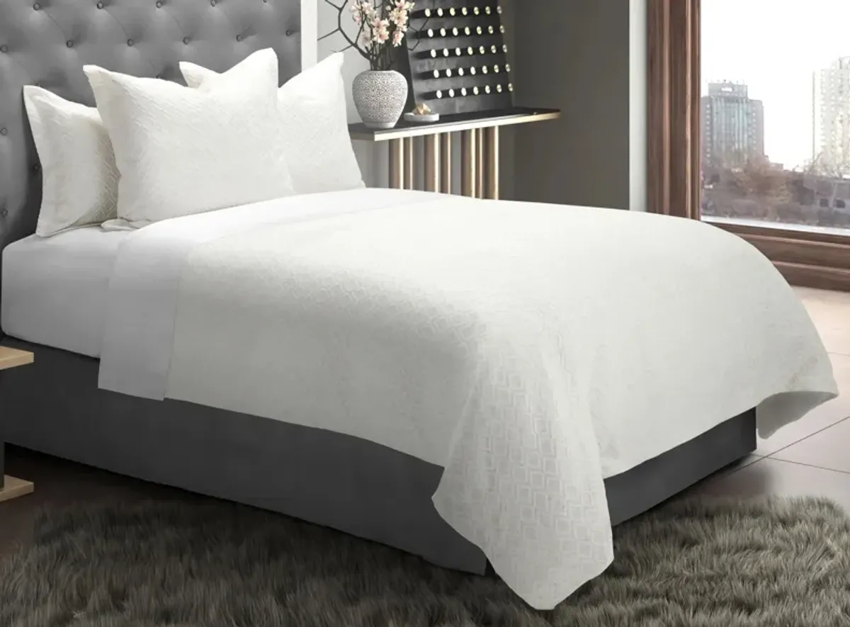 Kristel 6-pc. Duvet Set in Natural by Amini Innovation