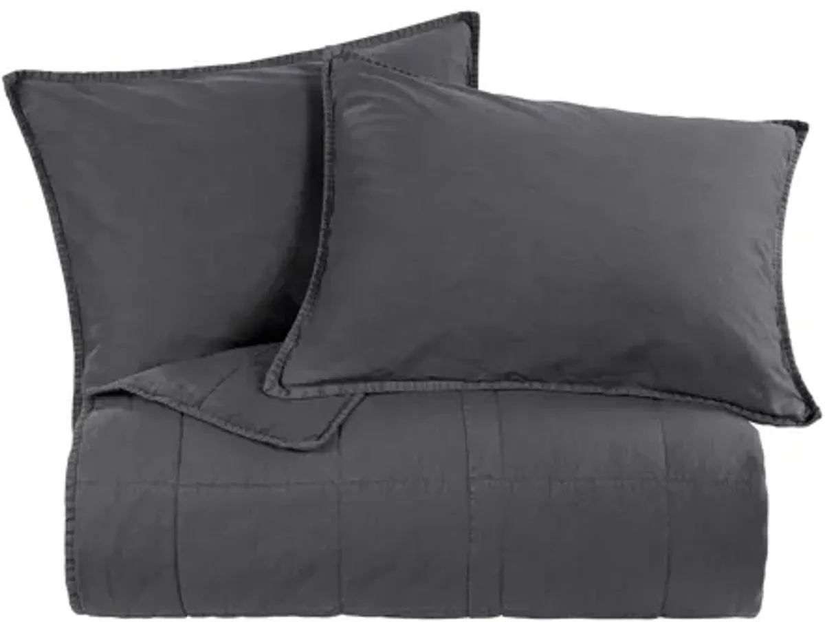 Detwyler 2-pc. Coverlet Set